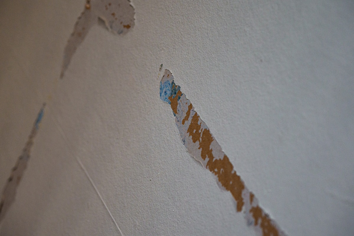 Basement Water Removal service in Las Cruces, NM